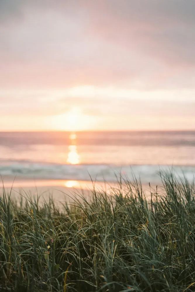 Reiki à Villiers-sur-Loir